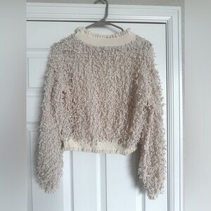 Zara Shag Crop Sweater